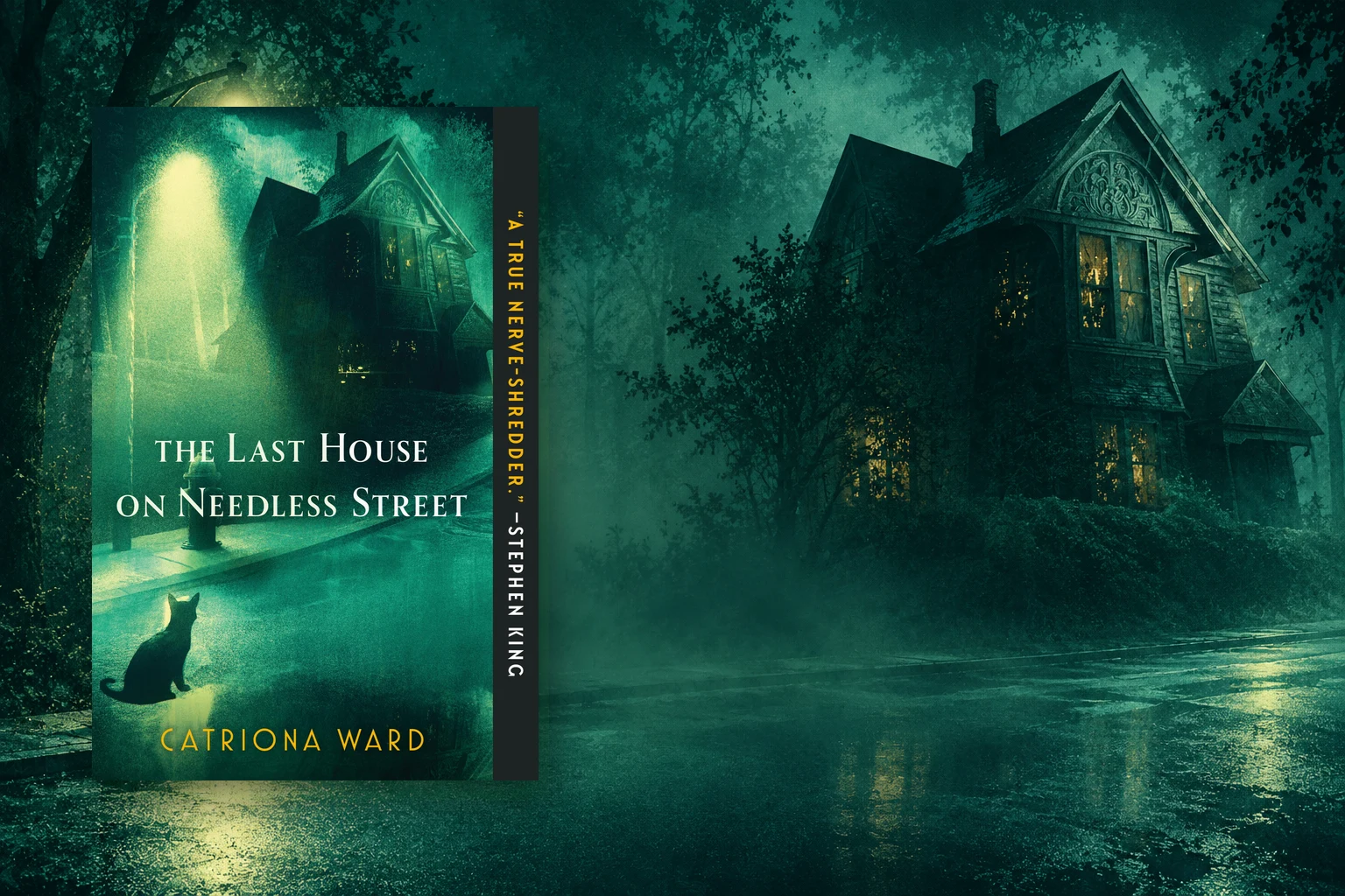 Book cover or source illustration for The Last House on Needless Street — Catriona Ward
